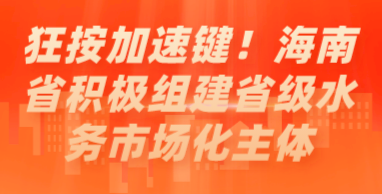 狂按加速鍵！海南省積極組建省級(jí)水務(wù)市場化主體